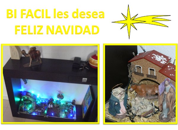 El blog Business Intelligence fácil desea una feliz Navidad y un próspero 2010 a todos sus lectores