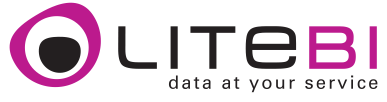 Litebi oferta soluciones de Business Intelligence bajo el modelo SaaS
